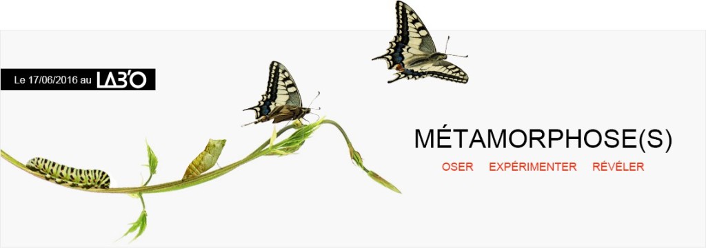TEDx_Meta