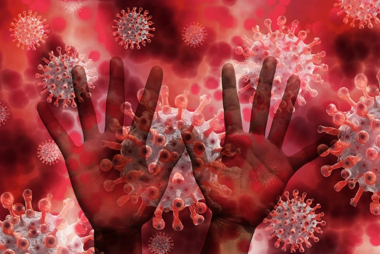 pandémie du coronavirus - projections économiques