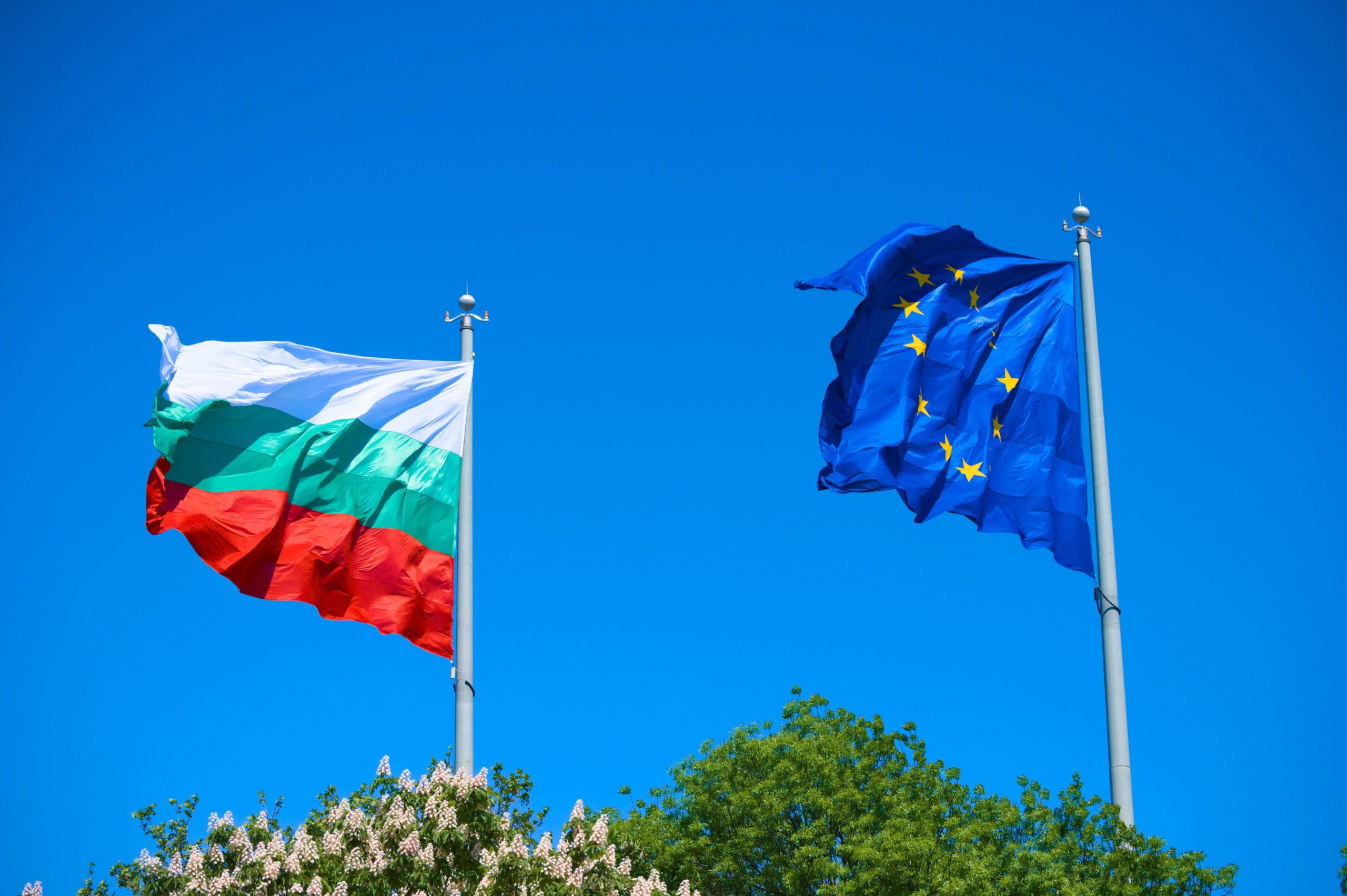 Bulgaria EU flags