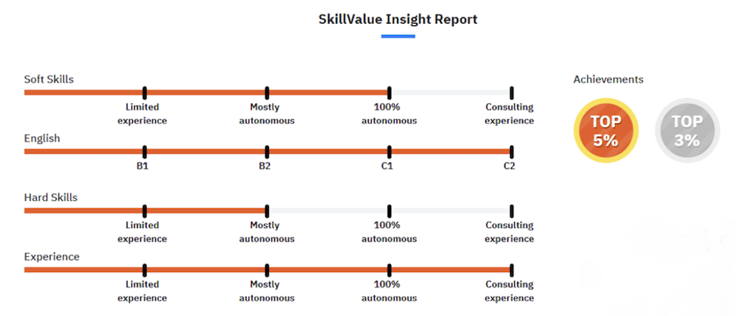 Skillvalue Insight report